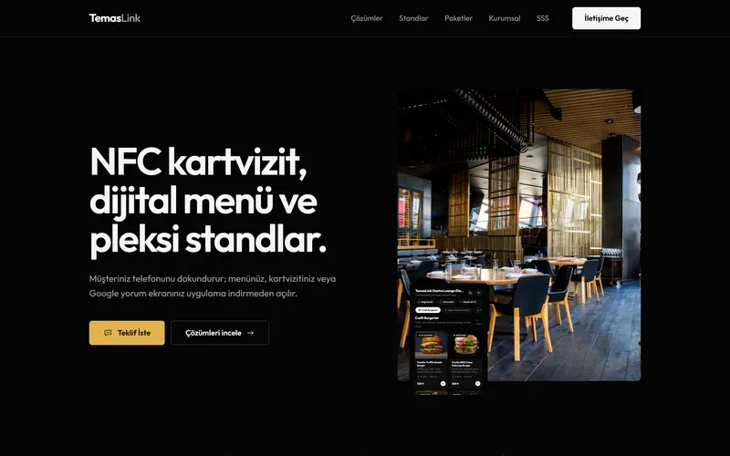 TemasLink web sitesinin masaüstü görünümü
